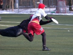 Open-NL-TL2012