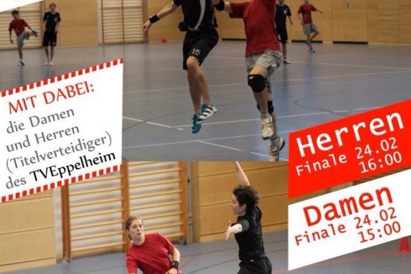Ultimate-Hallen-DM2013-HD-Plakat