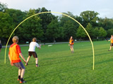 Goaltimate in action