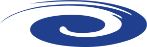 DFV-Logo
